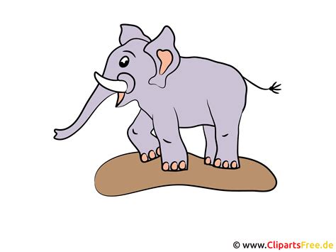 cartoon olifant