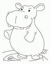 Hippopotamus Hippo Coloring Pages Heavy Cartoon Hippos Clipart Library Printable Popular Coloringhome sketch template