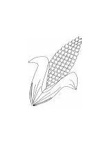 Coloring Barley Corn sketch template