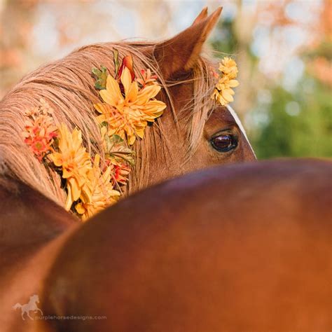 pin  jeana gutierrez  art horse flowers pretty horses cute horses