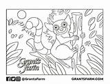 Zoo Coloring Pages Lemur Grant Farm sketch template