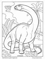 Dino Apatosaurus Dinosaurs Dinosaurios Dinosaurier Kleurplaat Herbivore Weighed Mandalas Malvorlagen Tegninger Dinosaurio Elephants Tegning Malvorlage Bubakids Niños Lineart Dinos Kinderbilder sketch template