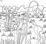 Coloring Pages Animal Prairie Plant Grasslands Kids Pitcher Sheets Animals Dog Books 4to40 Sketch Template Adult Gif sketch template