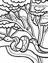 Coloring Snake Pages Printable Clipart Rainforest Library Easy sketch template