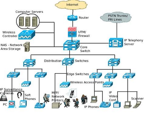 organizational network architecture  scientific diagram