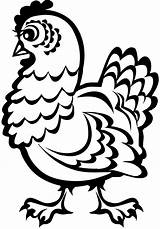 Coloring Pages Chickens Cliparts Chicken Hen Colour Rooster Number sketch template