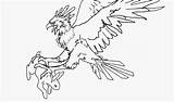 Eagle Harpy Coloring Easy Bald Drawing Draw 09kb 1353 Getdrawings sketch template