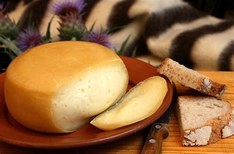 portugues   um dos melhores queijos  mundo descobrir portugal