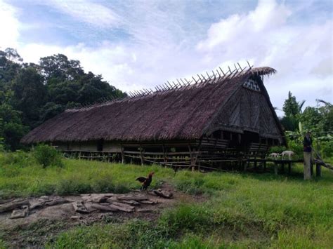 Rumah adat Suku Mentawai, Sumatra, rumah dusun buttui mentawai jumal ahmad