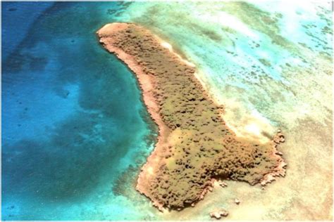 penis shaped island discovered   woman   middle  pacific