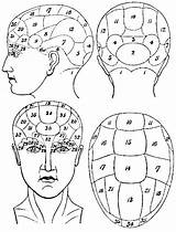Phrenology Head Destructiveness 1902encyclopedia Phr sketch template