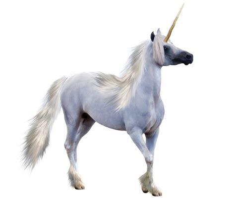 Download Free Unicorn Png Images Download Unicorn Png Free Icons And