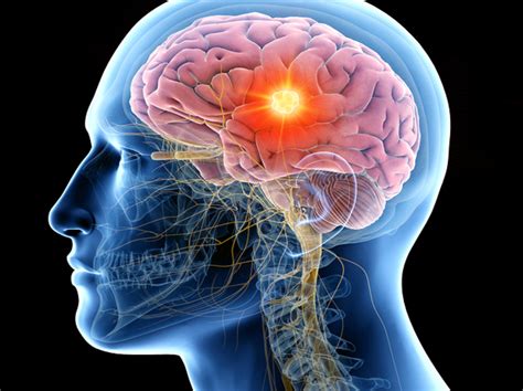 main blood biomarkers   show symptoms  brain diseases