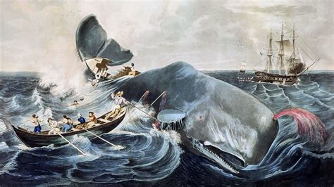 melville s whale was a warning we failed to heed the new york times