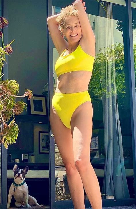 sharon stone shares incredible instagram bikini photo at