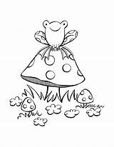 Toadstool Coloring Toad Mushroom Club Amanita Sp Fly sketch template
