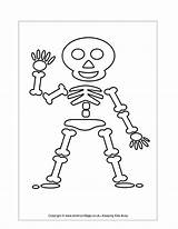 Skeleton Coloring Preschoolers sketch template