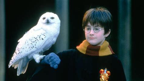 Harry Potter And The Sorcerer S Stone 2001 Review Hollywood Reporter
