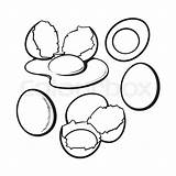 Egg Cracked Broken Sketch Chicken Getdrawings Drawing sketch template