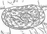 Anaconda Coloring Reticulated sketch template