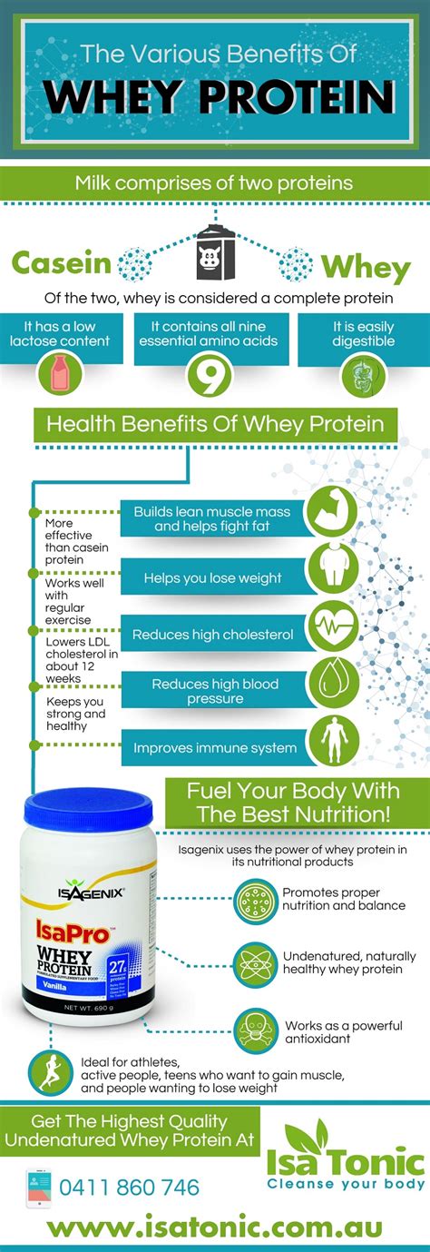The Benefits Of Whey Protein [infographic] Isatonic