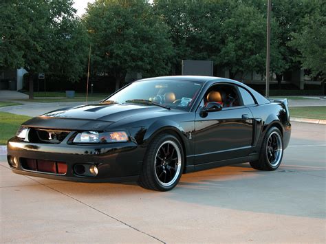ford mustang cobra svtpicture  reviews news specs buy car