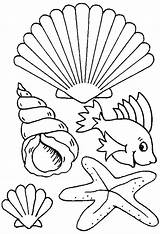 Coloring Sea Pages Colouring Printable Getcolorings sketch template