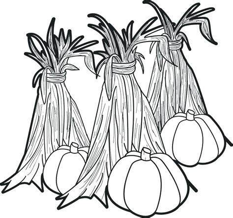 indian corn coloring page  getdrawings