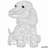 Dog Coloring Teckel Pages Dachshund Chien Dogs Book Coloriage Para Colorear Adults Adult Patterns Colouring Sausage Animal Mandalas Stress Dibujos sketch template