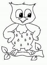Owl Coloring Simple Pages Baby Hibou Coruja Clipart Owls Sheet Corujas Da sketch template