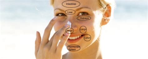 facial mapping what your skin is trying to tell you health beauty tips organic facial