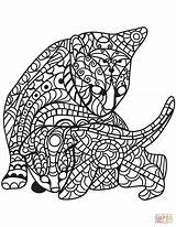 Zentangle Coloring Cat Kitten Pages Style Printable Cats sketch template