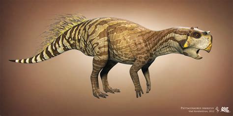 psittacosaurus dino   swordlordd  deviantart