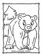 Coloring Grizzly Kidsfunplace sketch template