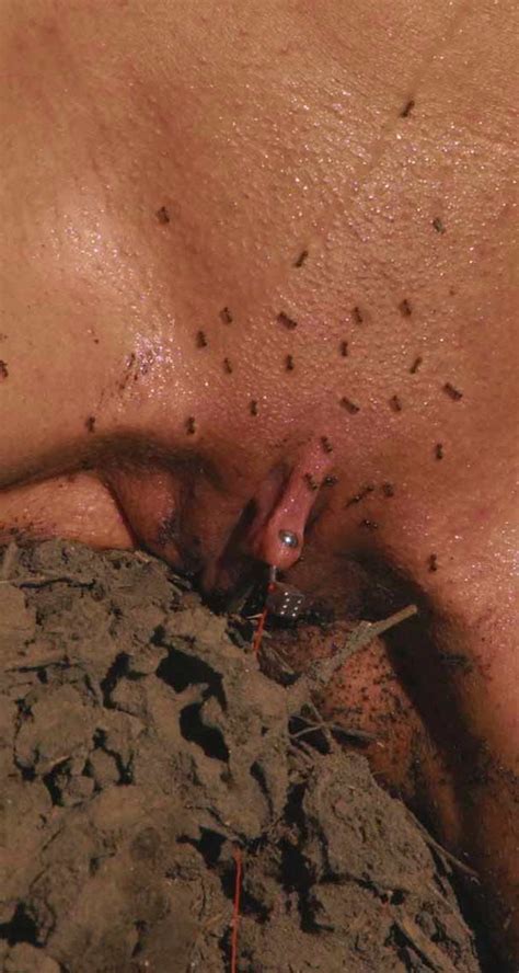 torture by ants free bdsm pussy kink pics