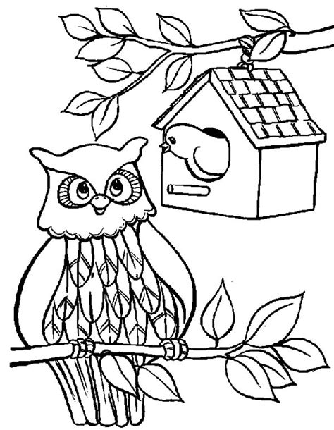owl bird house coloring pages  owl bird house coloring pages
