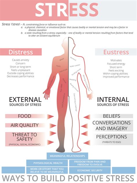 infographic how does stress affect you cell science systems