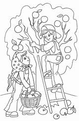 Coloring Pages Fall Sheets Kids Choose Board Autumn sketch template