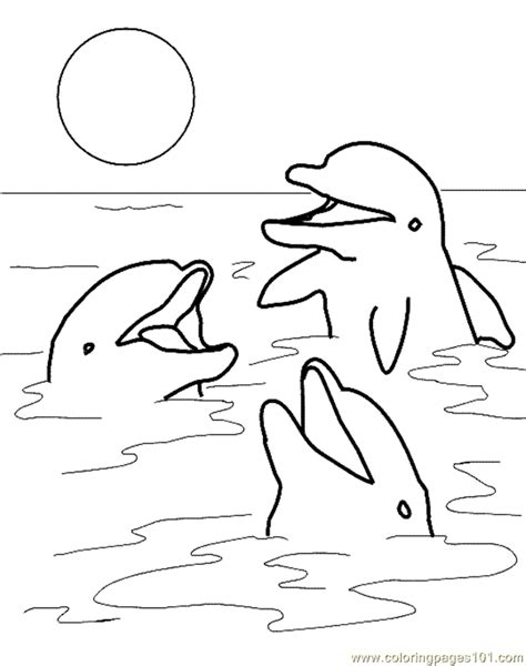printable dolphin coloring pages coloring home