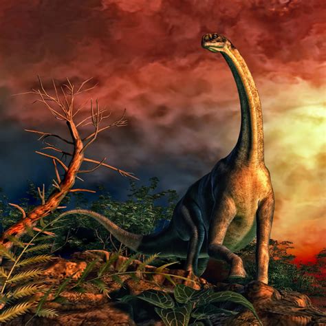 jobaria   sauropod dinosaur  lived   current day niger