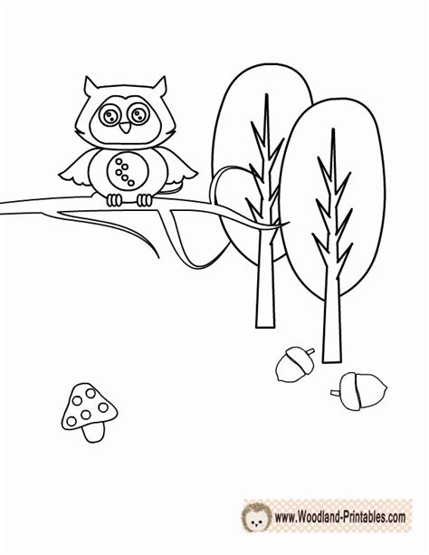 woodland animal coloring pages fresh woodland baby animals coloring