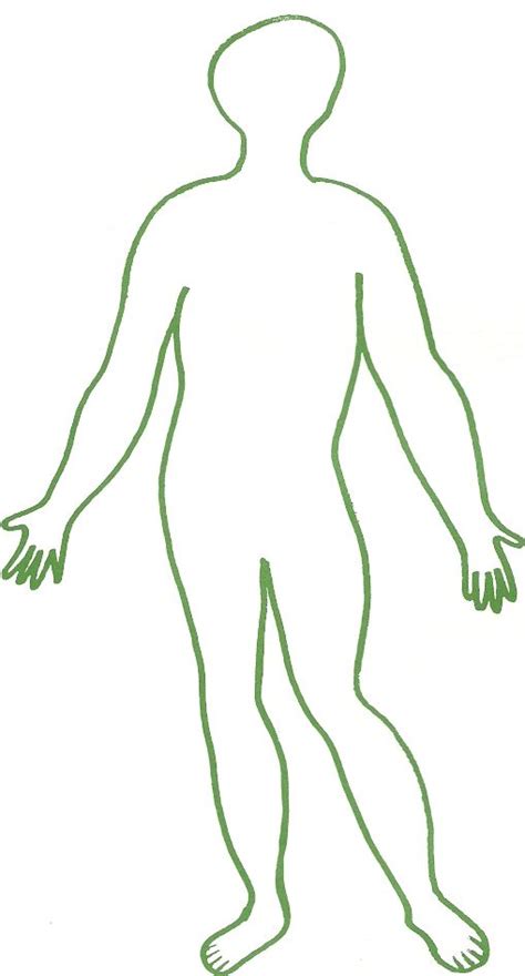 tekening mens figuur google zoeken het menselijk lichaam menselijk lichaam menselijk