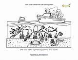 Coloring Sealife Summertime Chef Solus Summer Printables Sea Sheet Explorers Fun sketch template