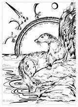 Adultos Adulti Loutre Pesci Otter Fishes Animales Justcolor Fische Erwachsene Peces Malbuch Poissons Animaux Coloriages Sacred Adulte Ausmalbilder Nggallery Zentangle sketch template