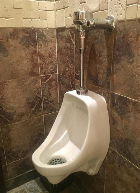 Bathroom Reno Leads To Urinal Envy Winnipeg Free Press Homes