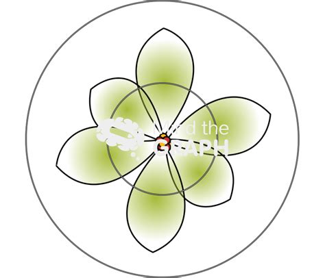 schrodinger atomic model mind  graph