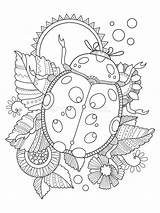 Coccinelle Coloriage Ladybug Coccinella Vecteur Livre Boek Kleurende Vectorillustratie Vettore sketch template
