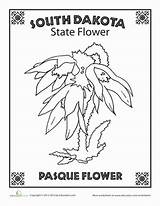 Dakota State South Flower Choose Board sketch template