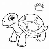 Turtle Shell Coloring Getcolorings Template Pages Color Kids sketch template