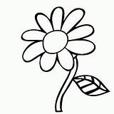 Bunga Putih Matahari Mewarna Kolase Stiker Diwarnai Animasi Tanaman Comel Alias Kembang Mobil Nop Mawar Dari Aneka Boboiboy Keluarga Taman sketch template